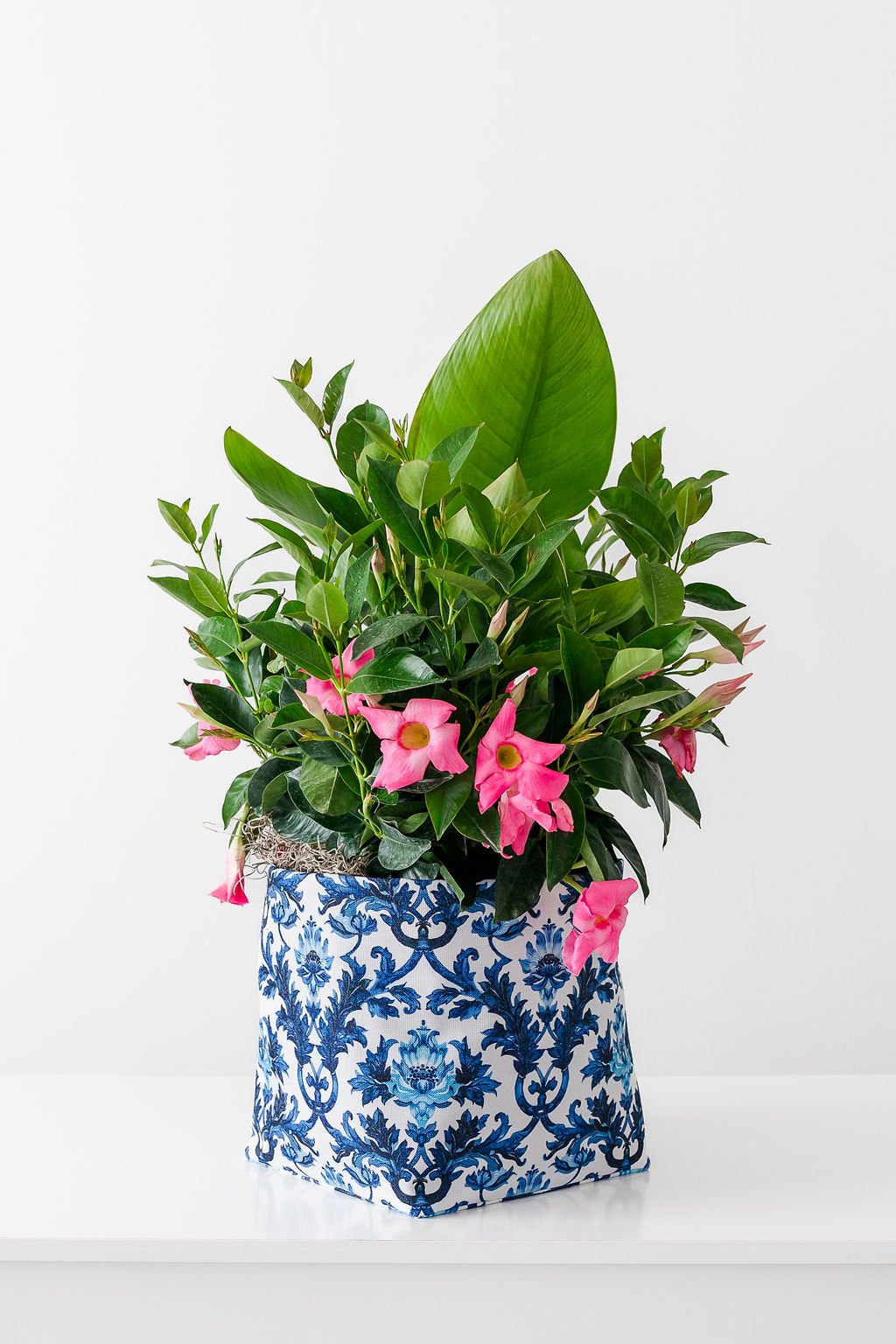 S23BlueDamask-Floral2.jpg