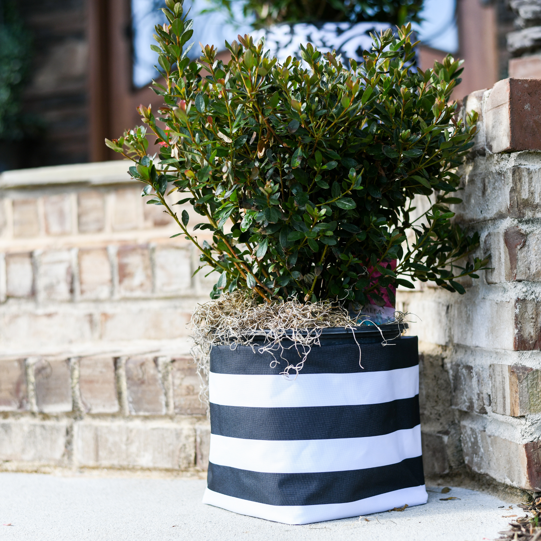 Black & White Stripe So.CachePot Planter Cover