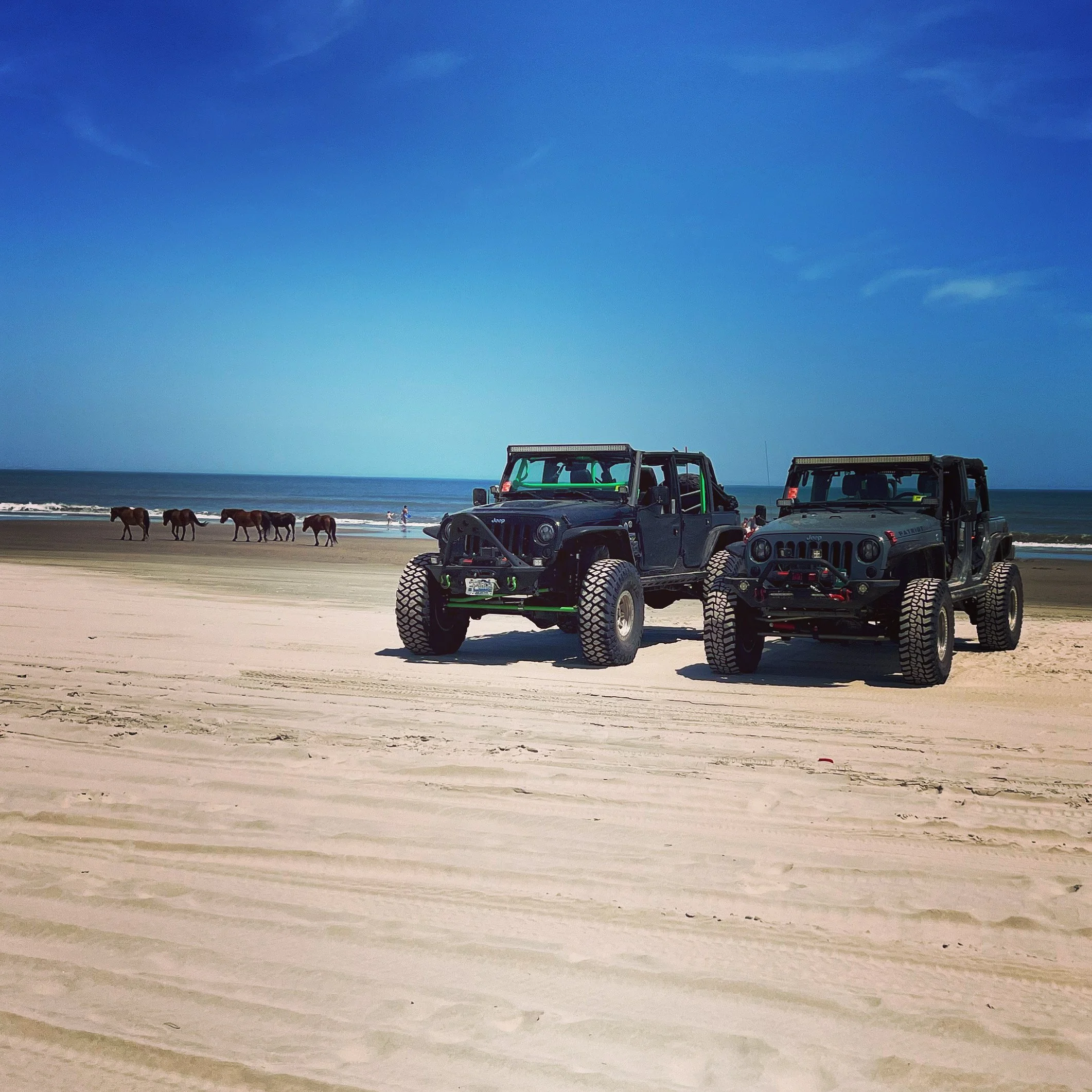 Lifted Jeeps on 4x4 Beach.JPG