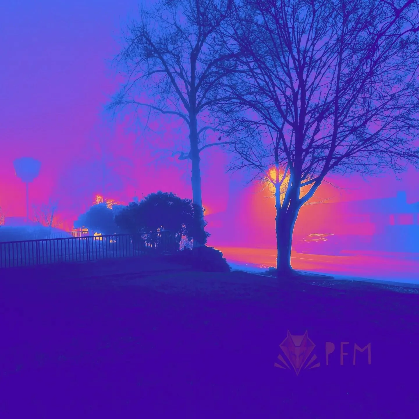 Had a request for a #synthwave edit of my night time fog photo and I was only too happy to oblige. I think it turned out pretty well 😄
#synthwaveart #retro #color #aesthetic #aestheticedits #aesthetic #retrowave #80s