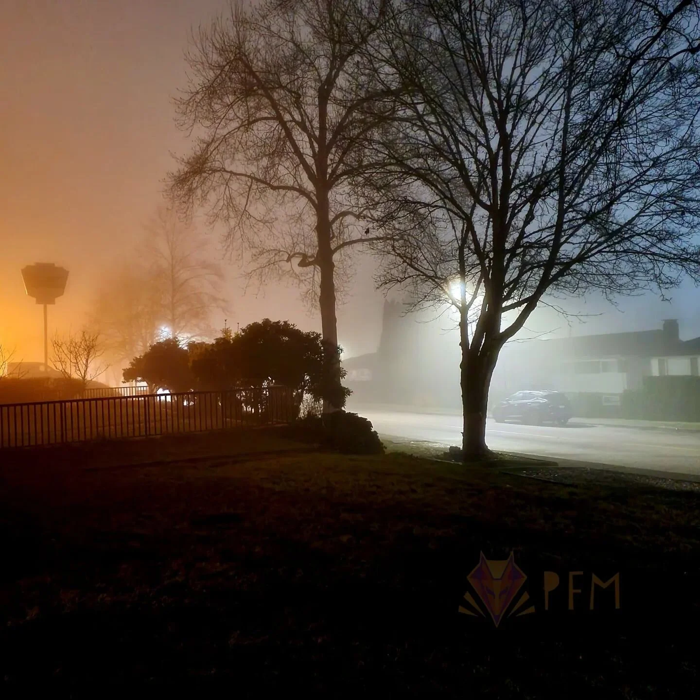 We had some late night fog the other day and I had to stop and snap a photo of this cool light diffusion. Anyone need a retrowave album cover?🤭
I love taking photos in the fog, it creates such neat effects and has led to some of my favorite snaps.