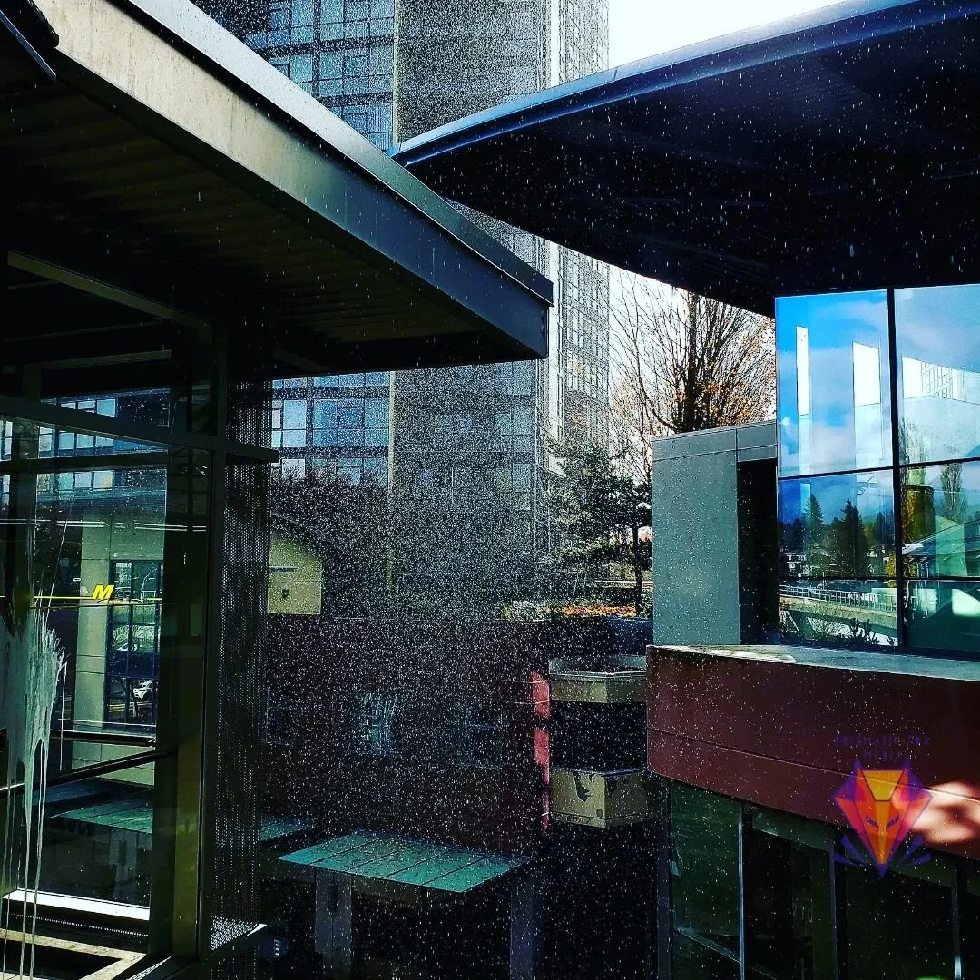 I don't usually enjoy being out in the rain, but sunshowers are the exception! I really love how these elements come together 😄
#sunshower #artphotography #photographer #photooftheday #pnwphotographer #pnwphotography #yvr #vancouver #burnaby #vanco