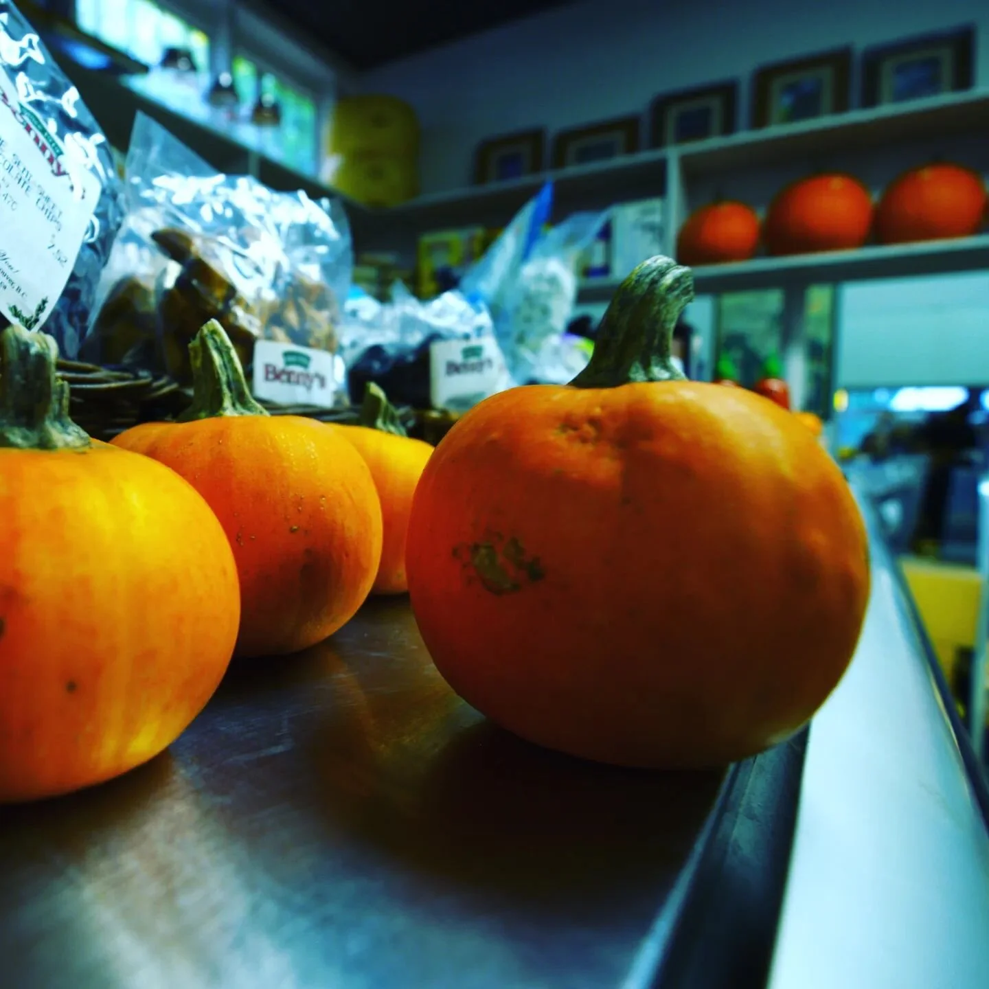 On one of my outings last week, my friend and I stopped for sandwiches and I took this photo of the deli display. 😍
#photographer #deli #photo