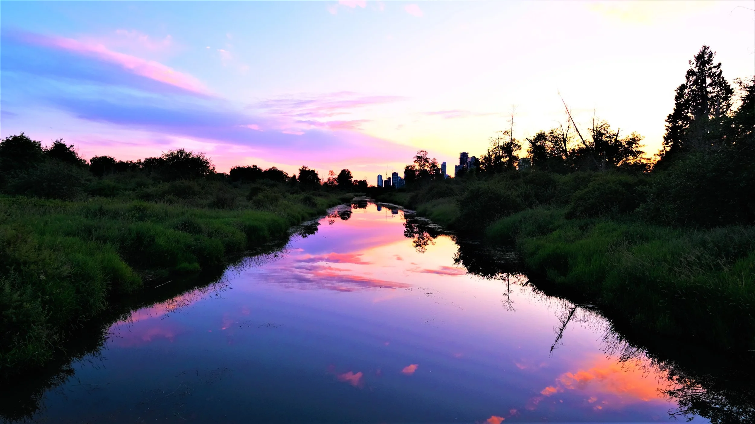 Burnaby Slough 2.jpg