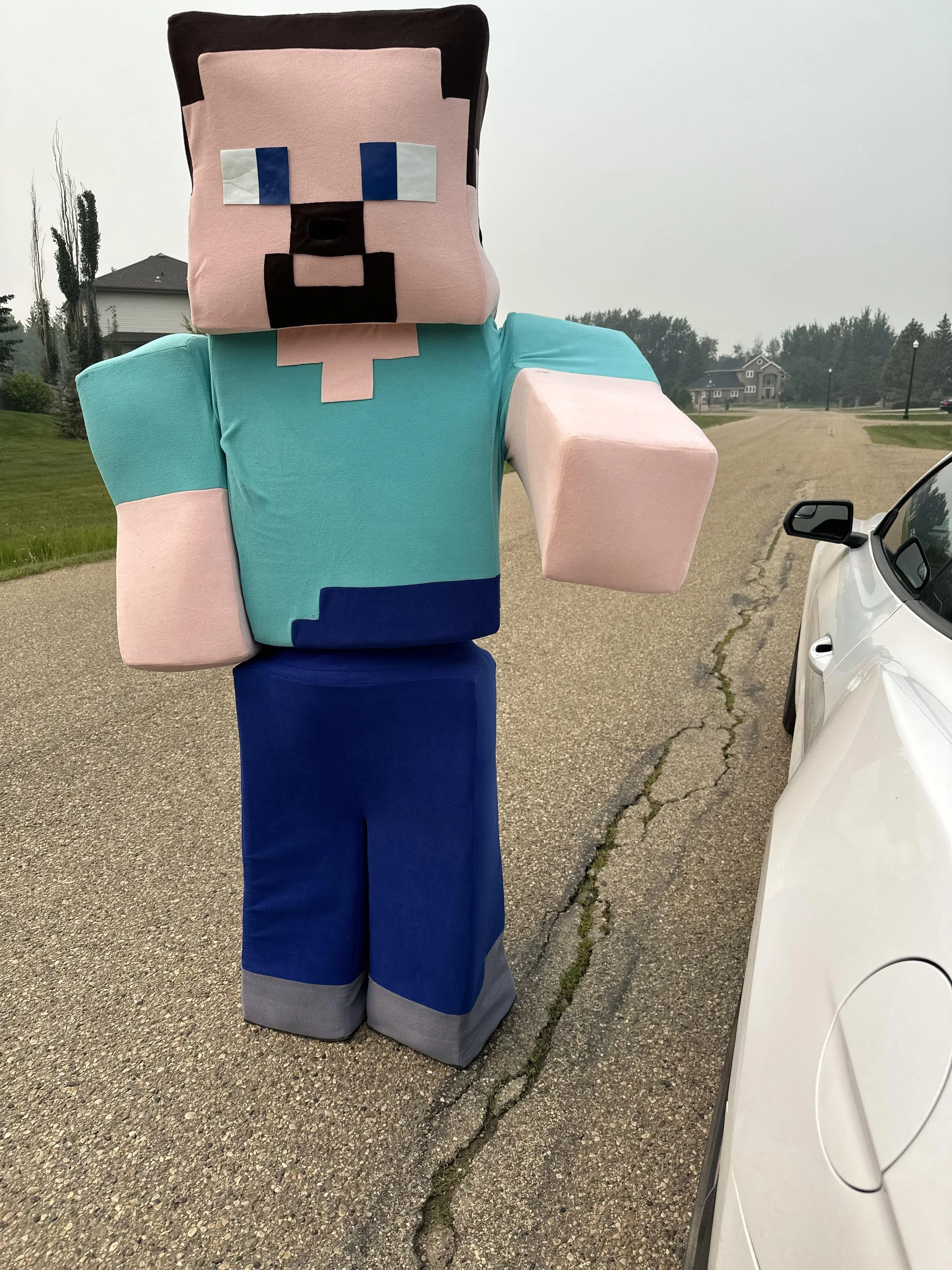 A person in a Minecraft-style costume resembling the character Steve from Minecraft, standing on a rural street next to a white car, with houses and trees in the background.