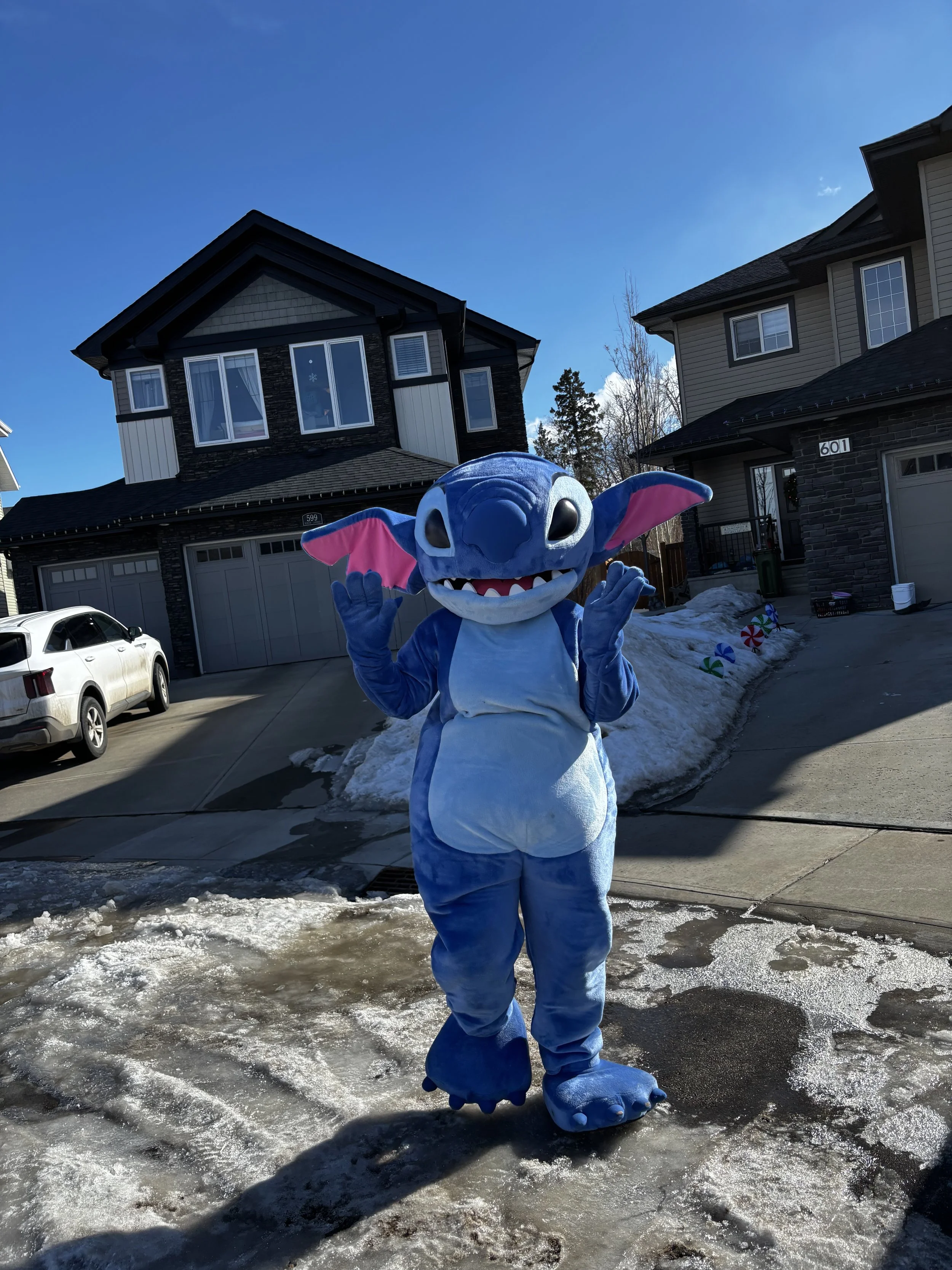 Stitch character mascot from Lilo and Stitch. Ready to book for your party or event in the Edmonton area.
