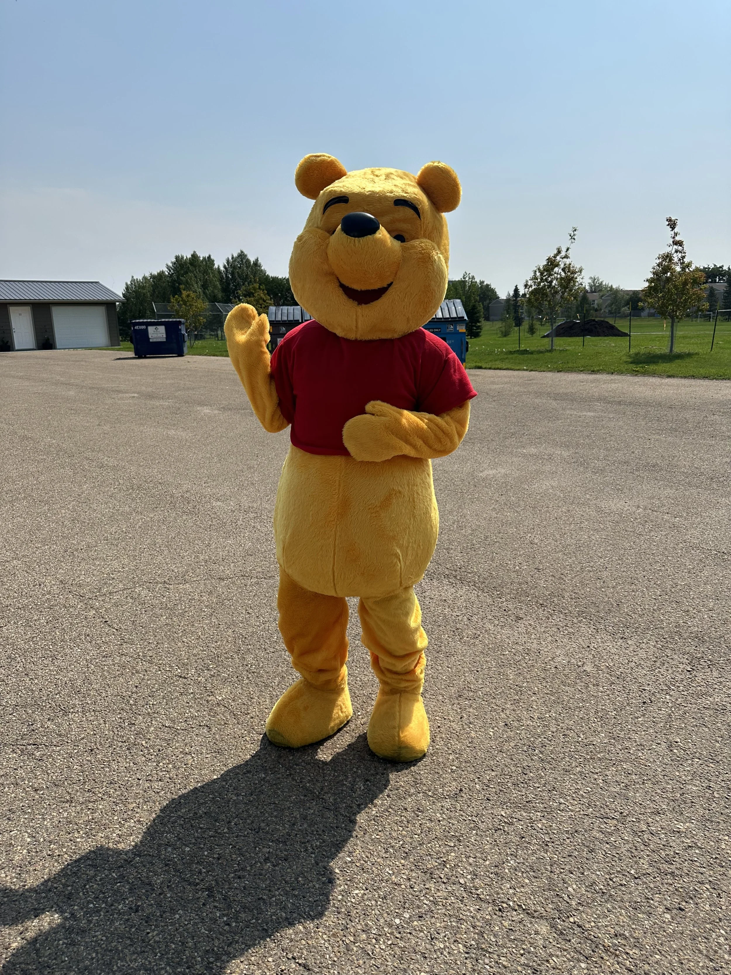 Winnie the Pooh  mascot character. For party or event. Edmonton area.