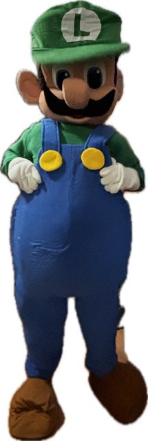 Luigi  Super Mario Bros. Character Mascot