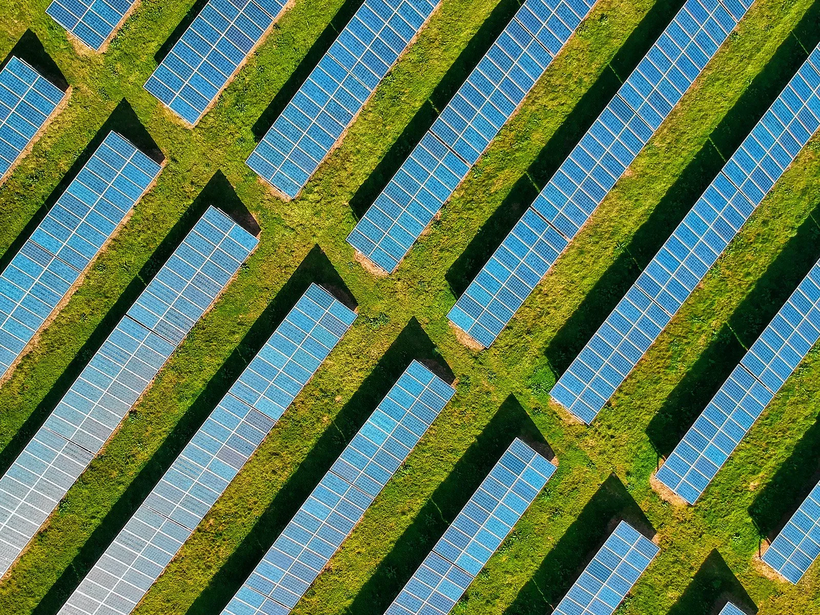 Solor_Crop.jpg