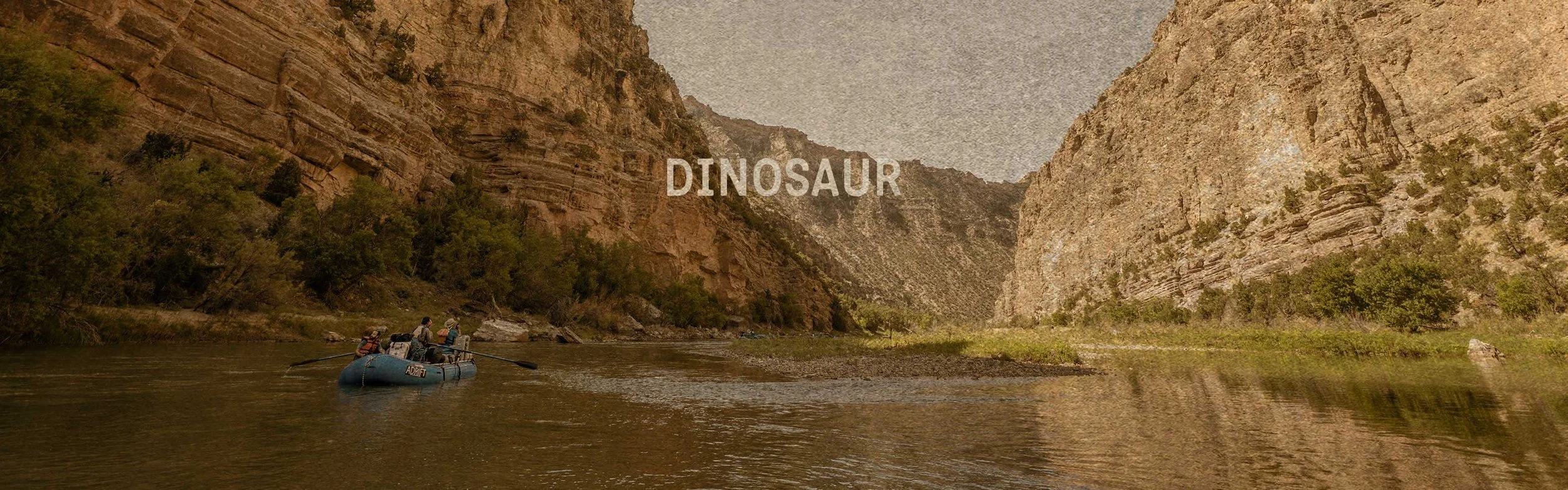 Gallery-Header-Dino.jpg