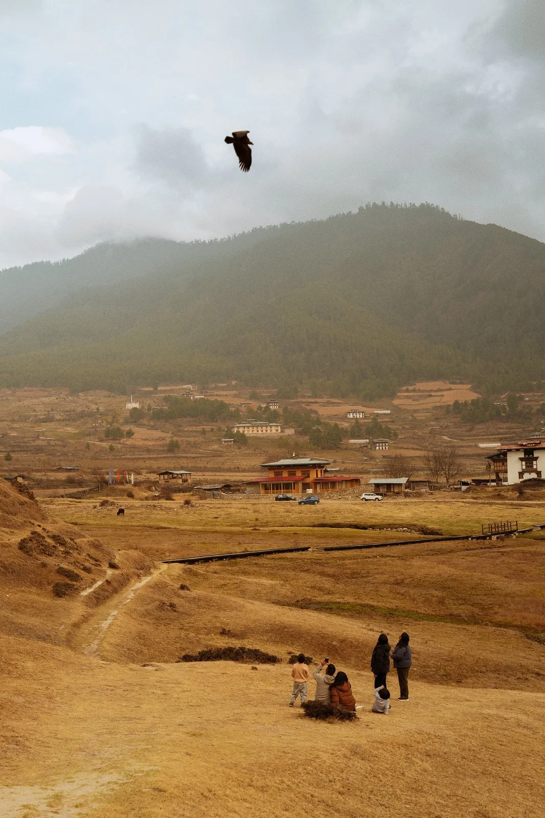 bhutan-bird-over-valley.jpg