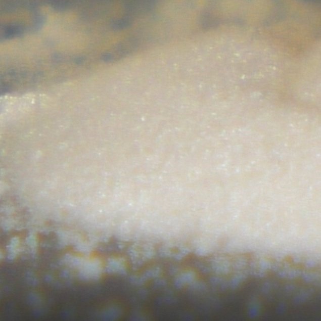 Dusty Plasmas