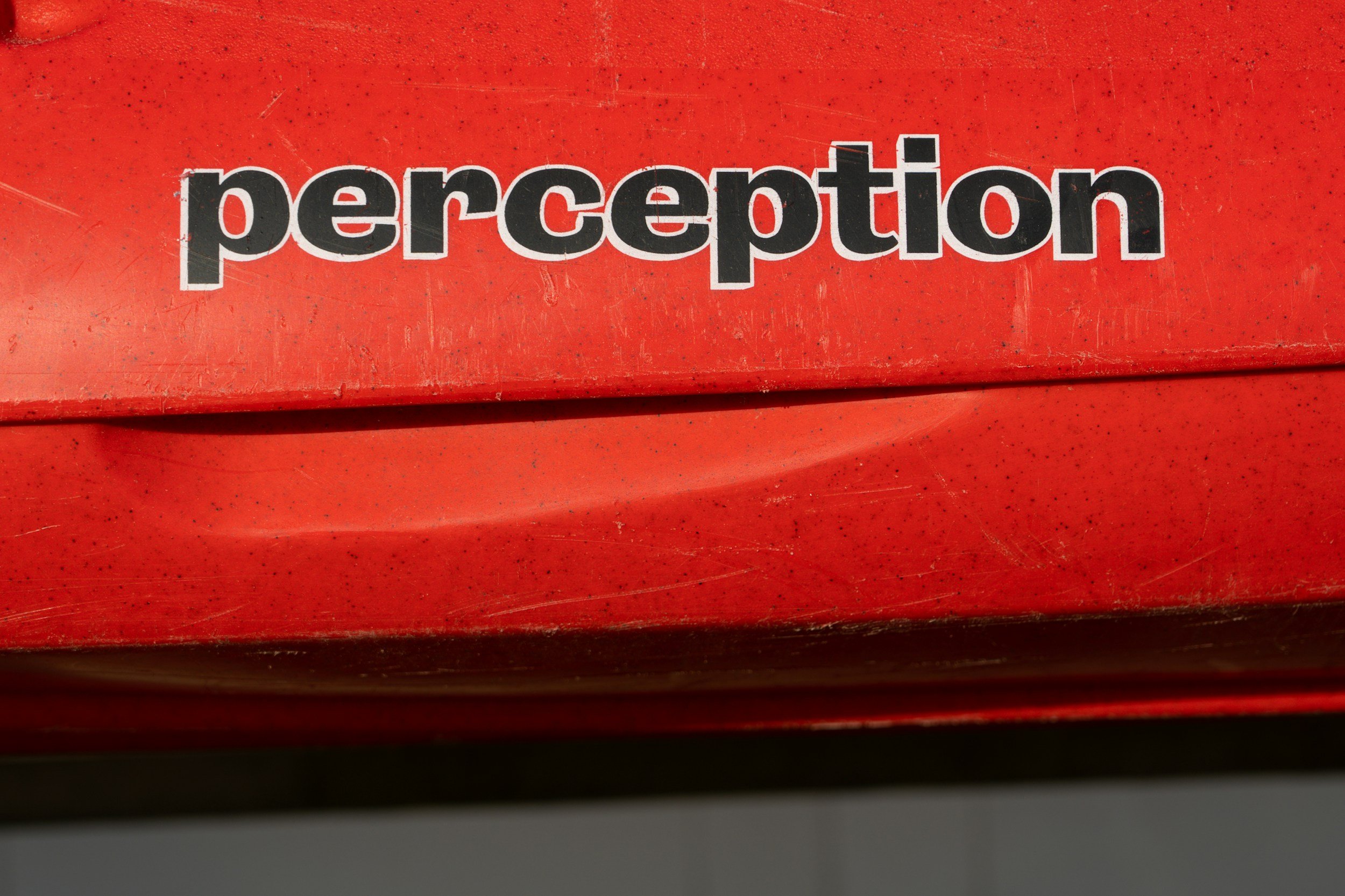 Embracing Carl Jung's "Perception Is Projection" for Personal Growth