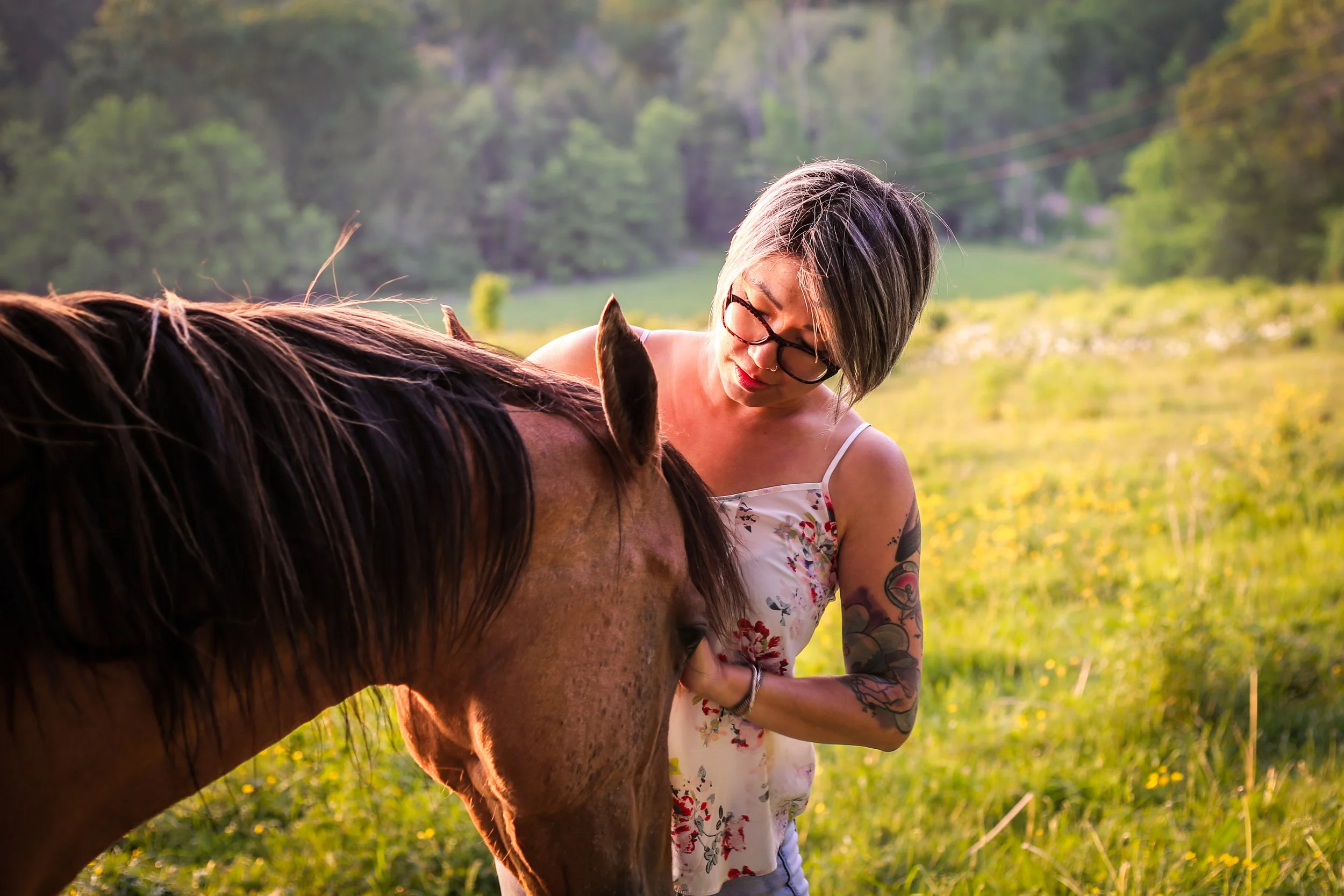 What Is Equine-Assisted Psychotherapy? The Evidence Behind Healing with Horses