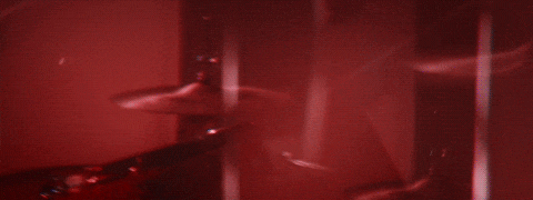 11.gif