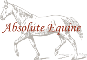 Absolute Equine Sponsors Vera Aqua Vera Vita.  (Copy) (Copy)