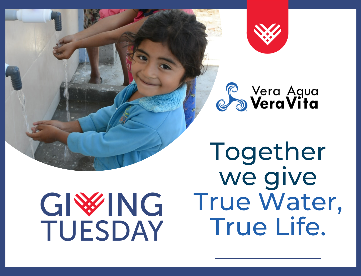 Giving Tuesday for VAVV 2026