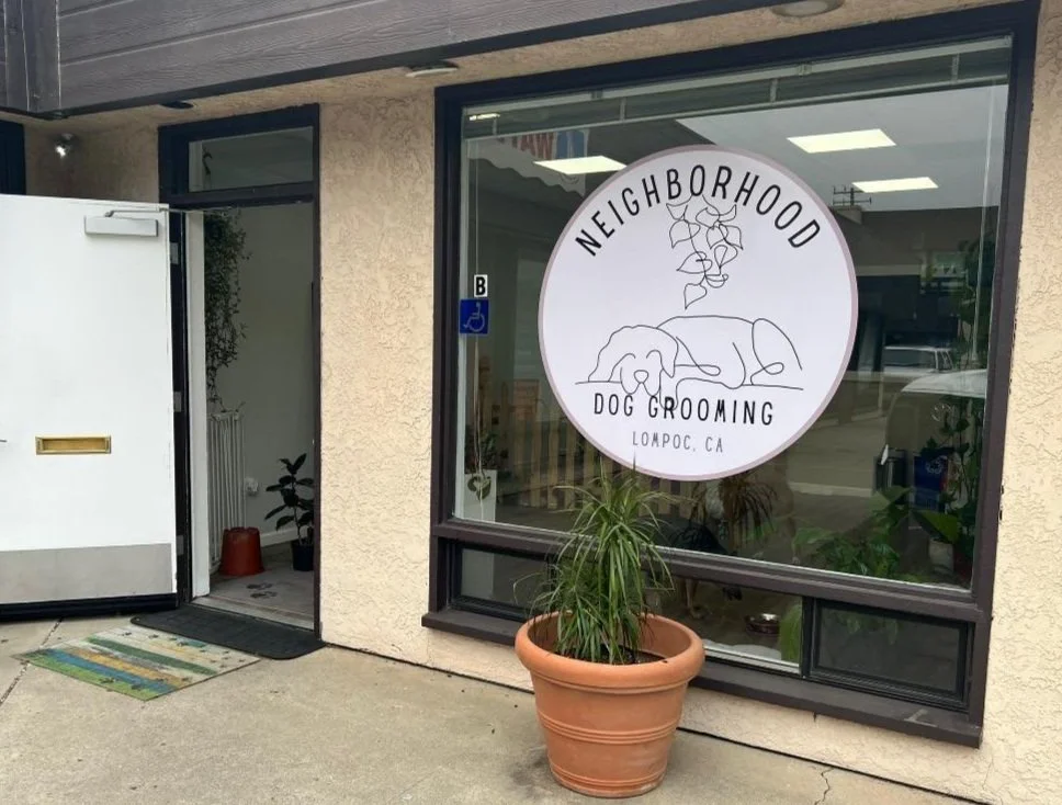Snapshot of Dog Grooming Near My Neighborhood Open Now