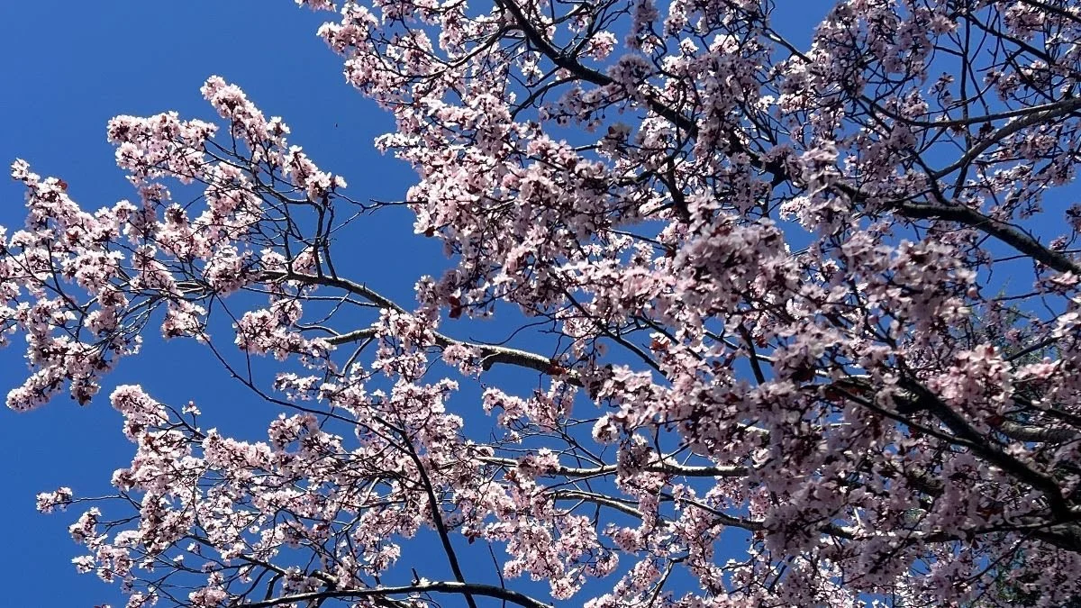 February Market Update