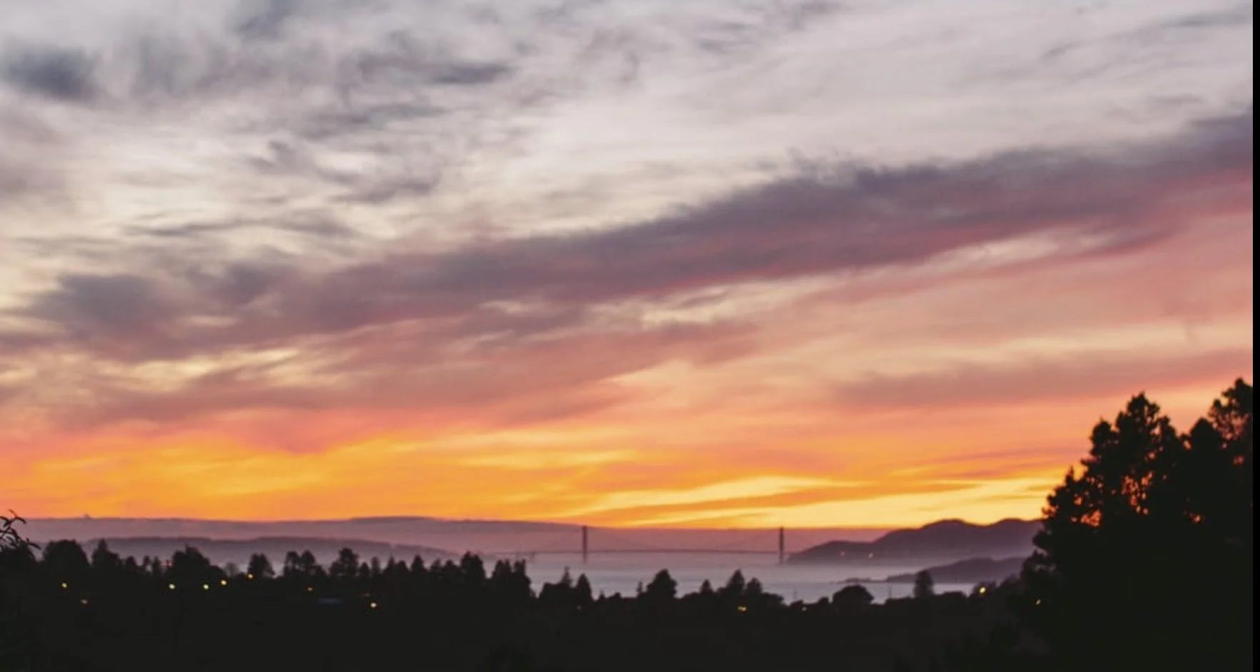 January Market Update