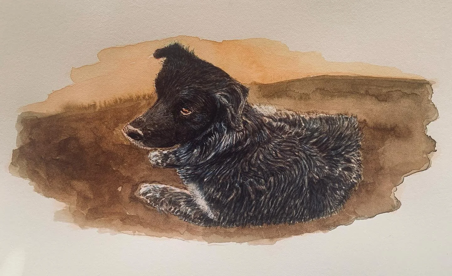 Molly 2024 #watercolor #watercolour #watercolorpainting #dog