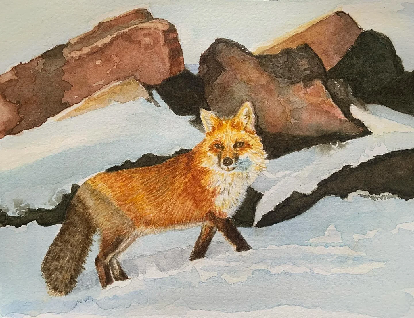 Red Fox  #watercolors #watercolor #watercolorpainting #animals