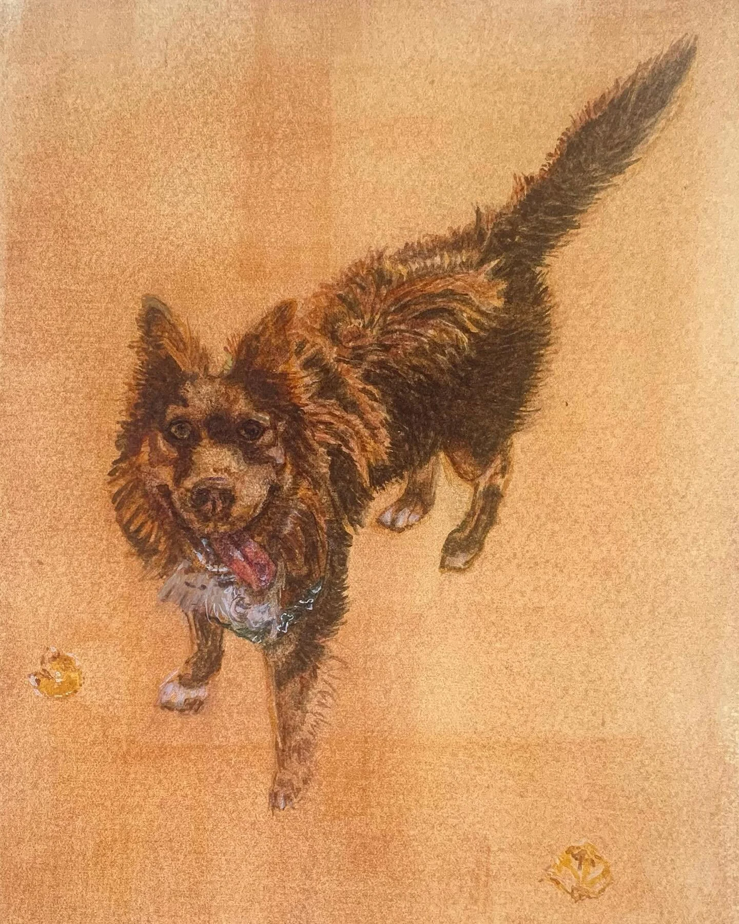 Cusco 2024 #watercolor #watercolorpainting #petstagram
