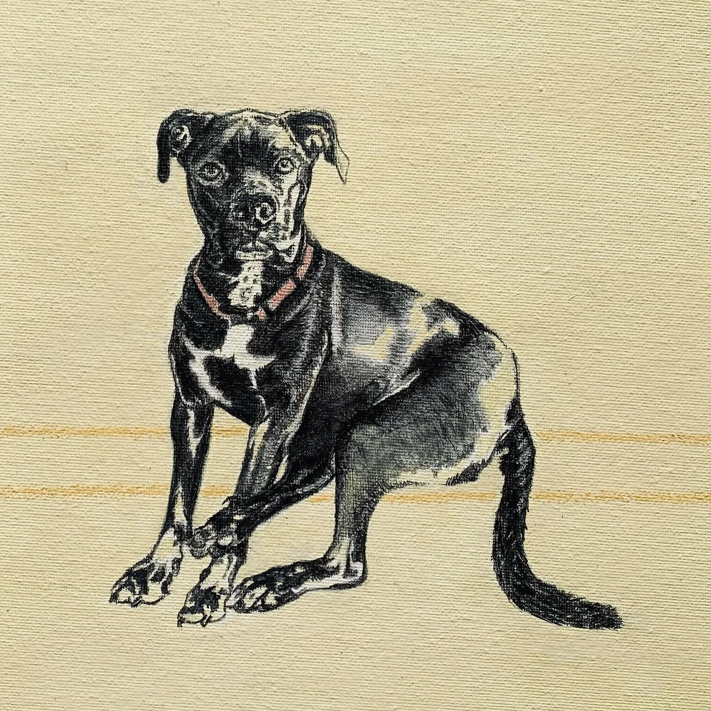Bowie 2024 #charcoal #watercolors #conte #petstagram