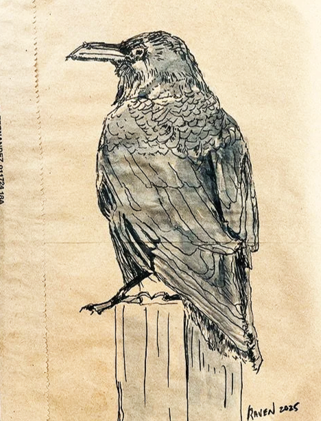 raven+1.png
