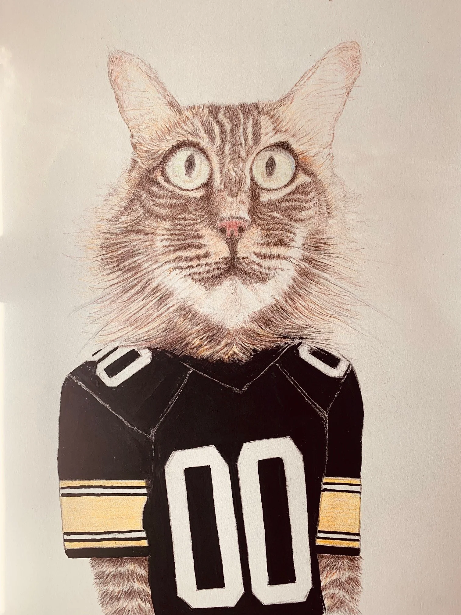 cat steelers.jpg