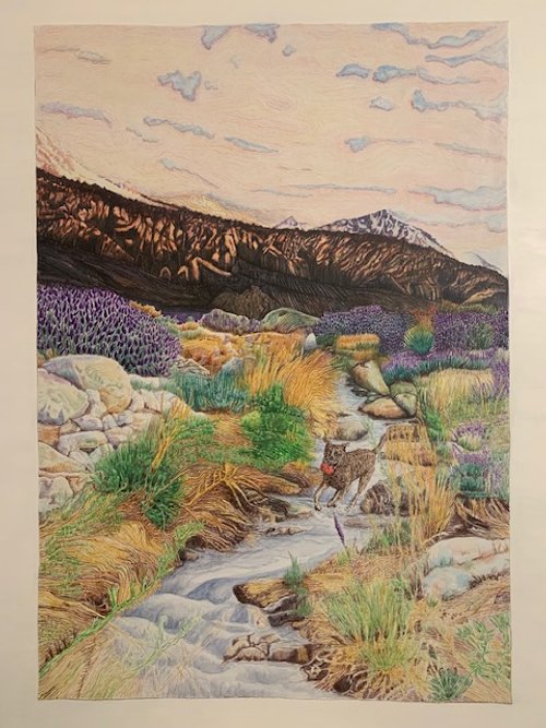 willie final landscape.jpg