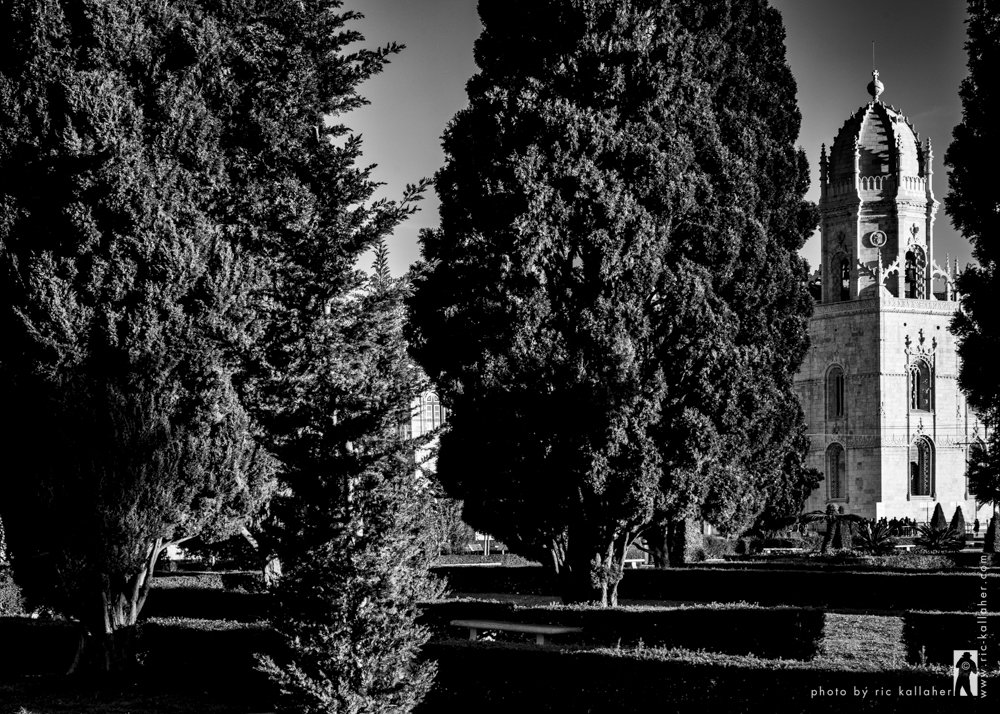 lisboa-dawn-patrol-belem-jeronimo-tree-ric-kallaher-photo-3385.jpg