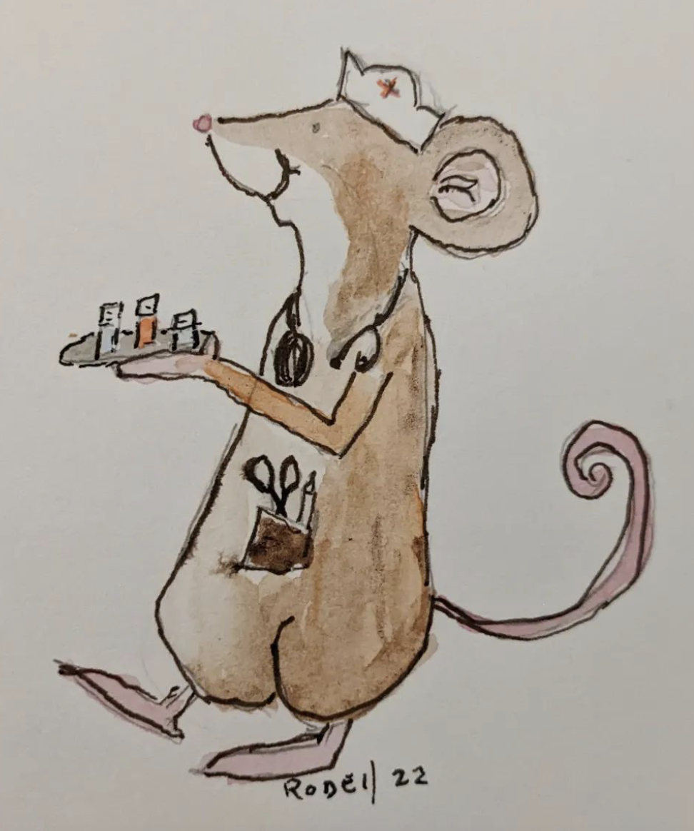 Screenshot 2023-07-29 at 11.22.09 PM.png