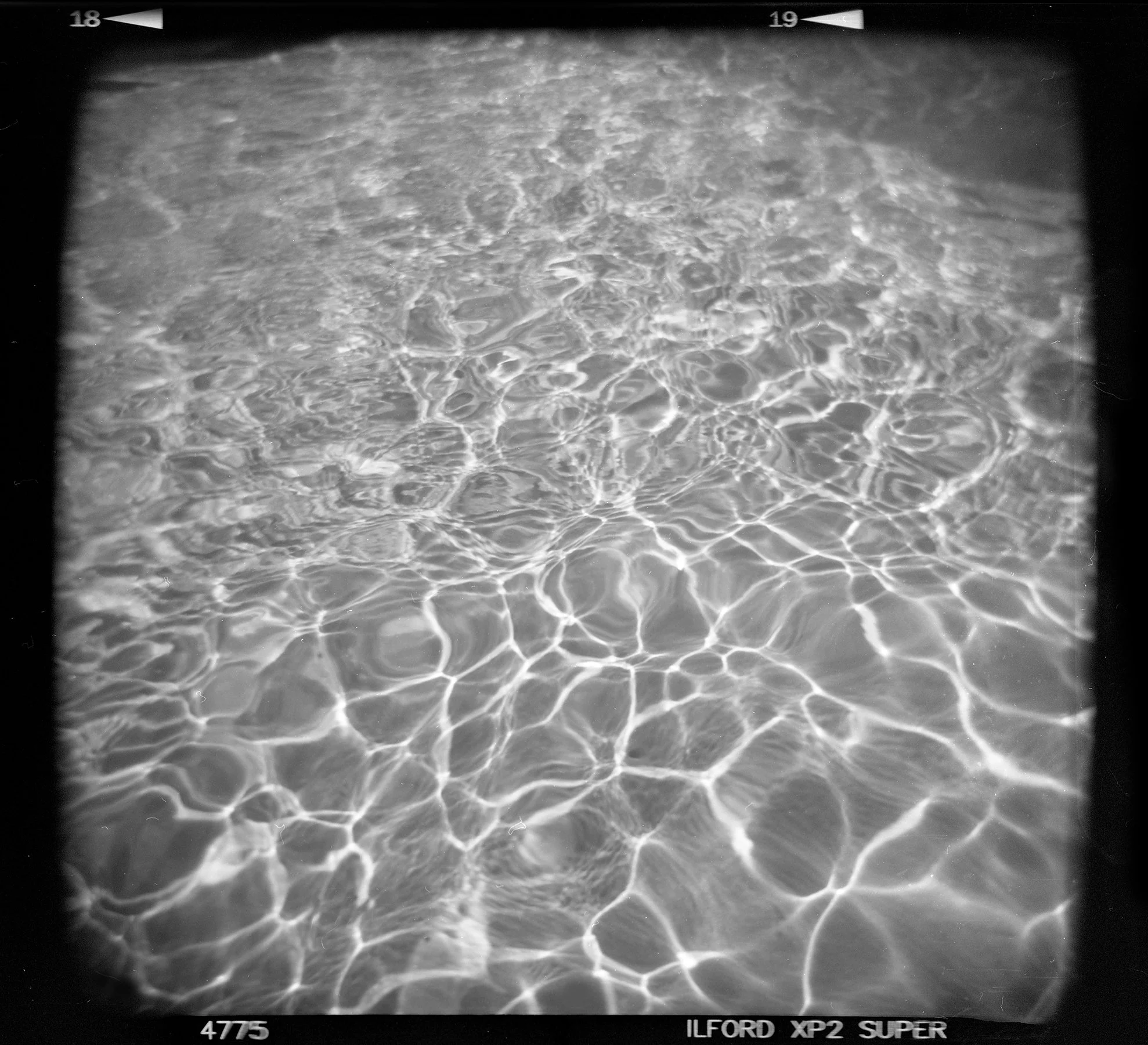 holga124 copy.jpg