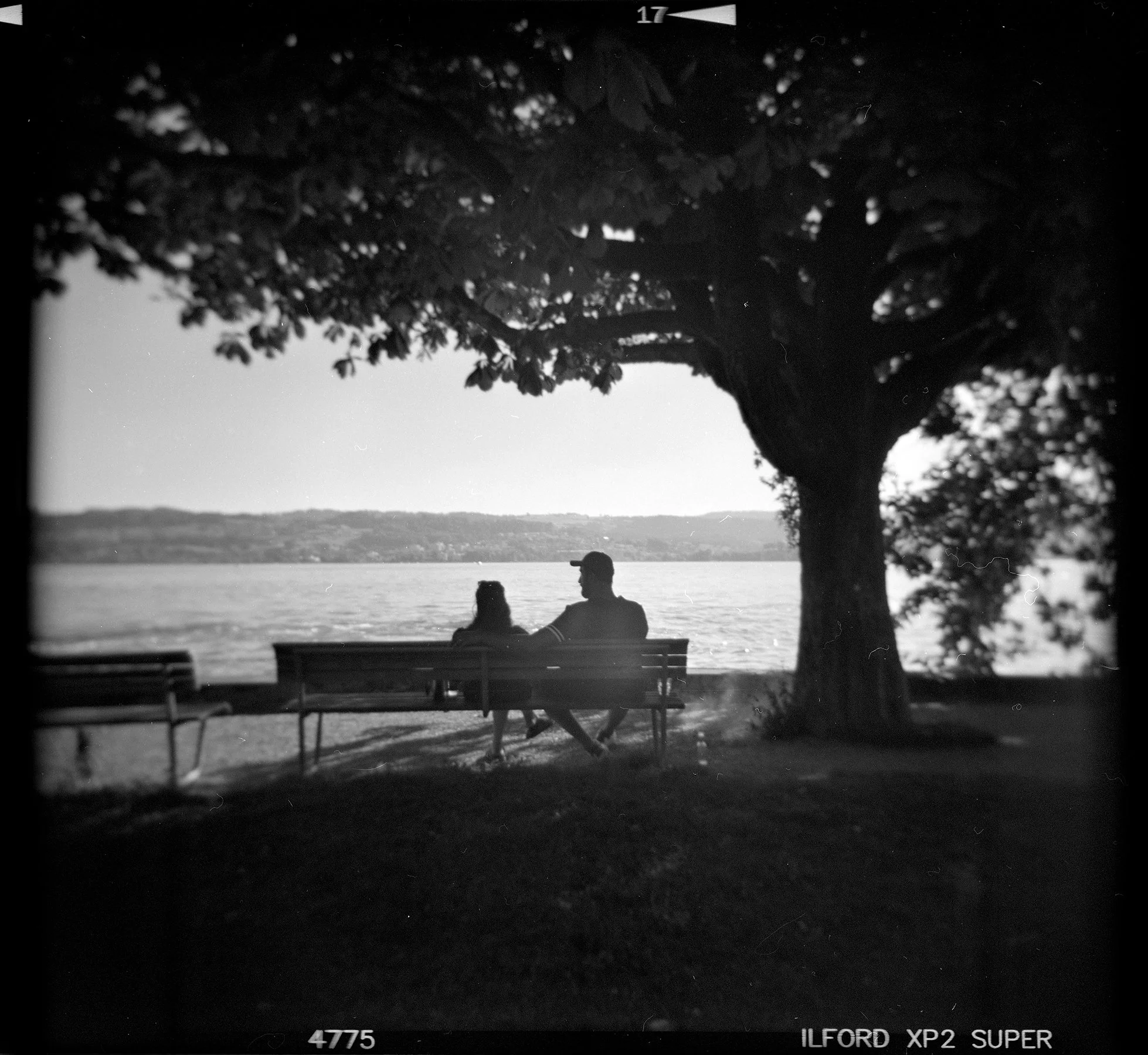 holga131 copy.jpg