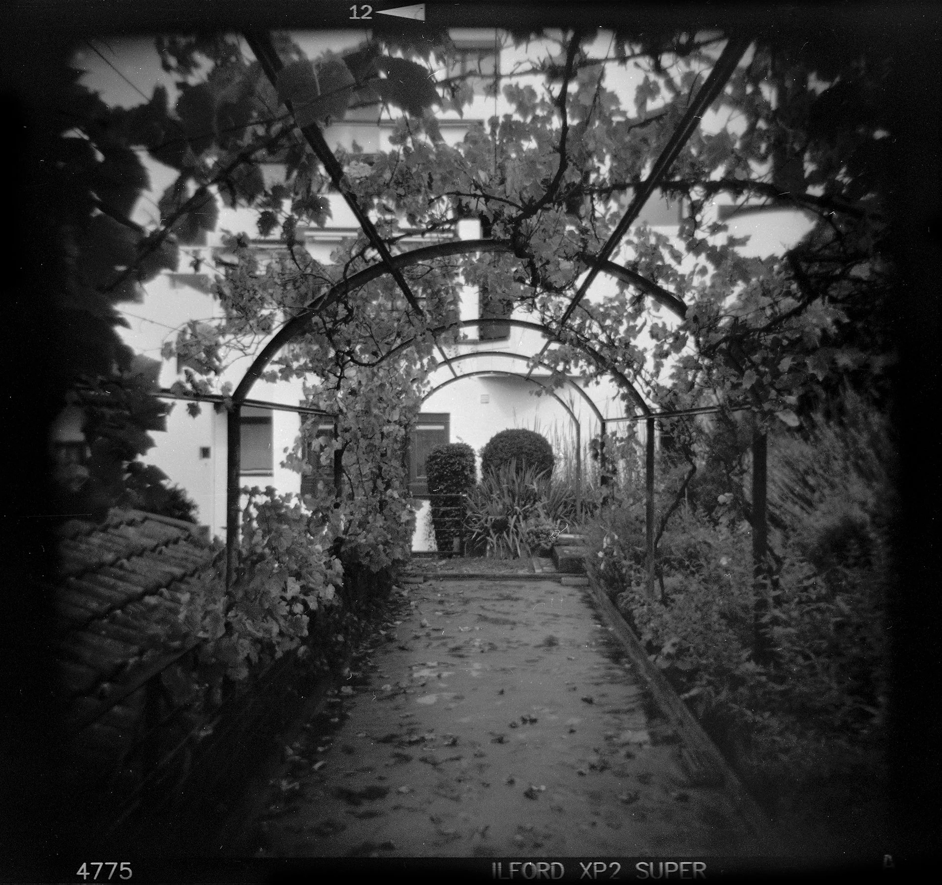 holga166 copy.jpg