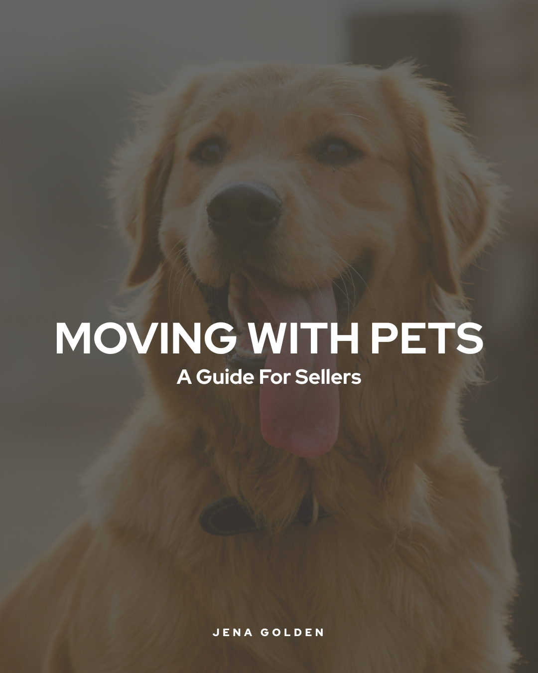moving-with-pets-jena-golden-north-georgia-realtor.png