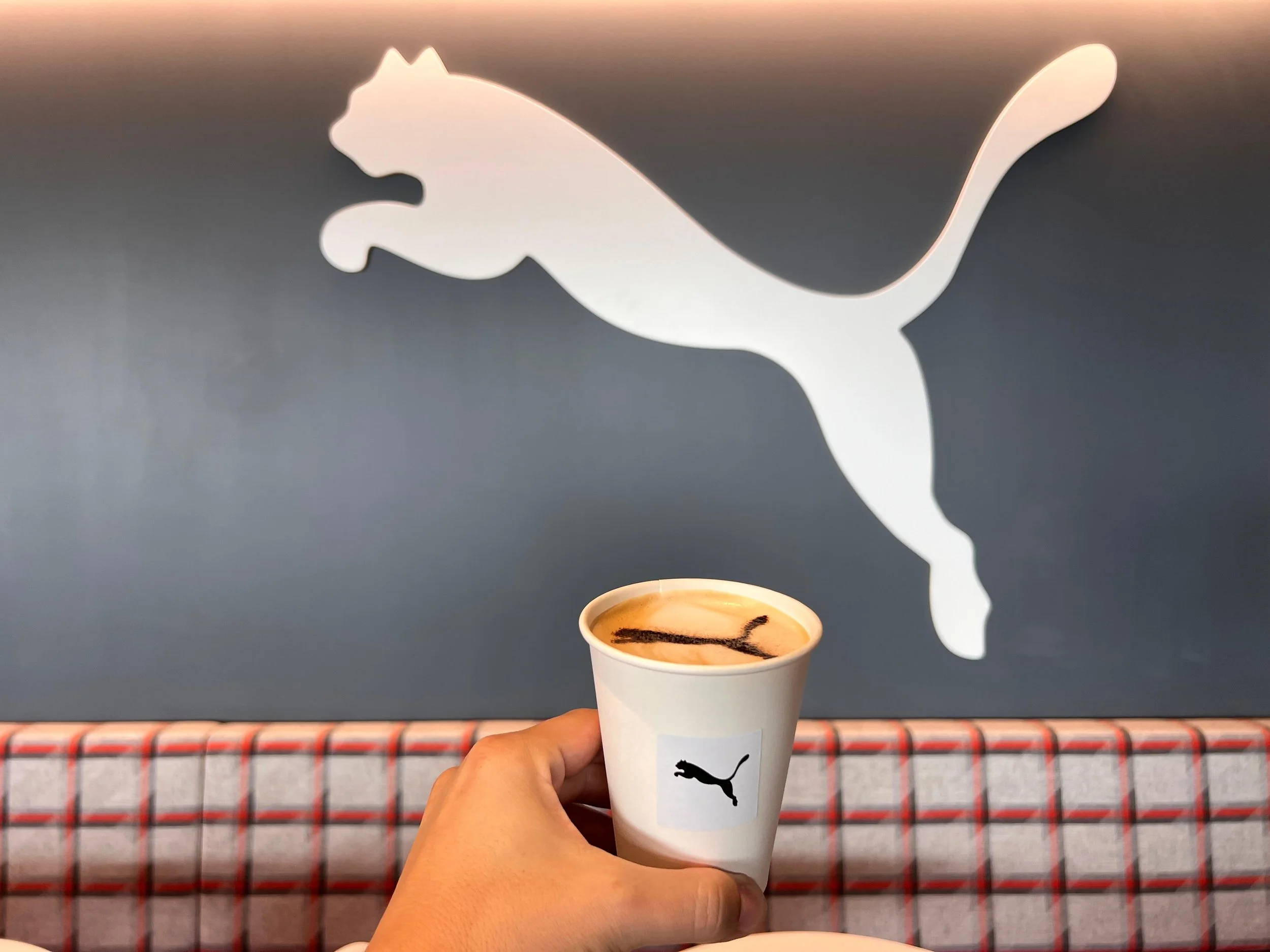 Puma customization.jpeg