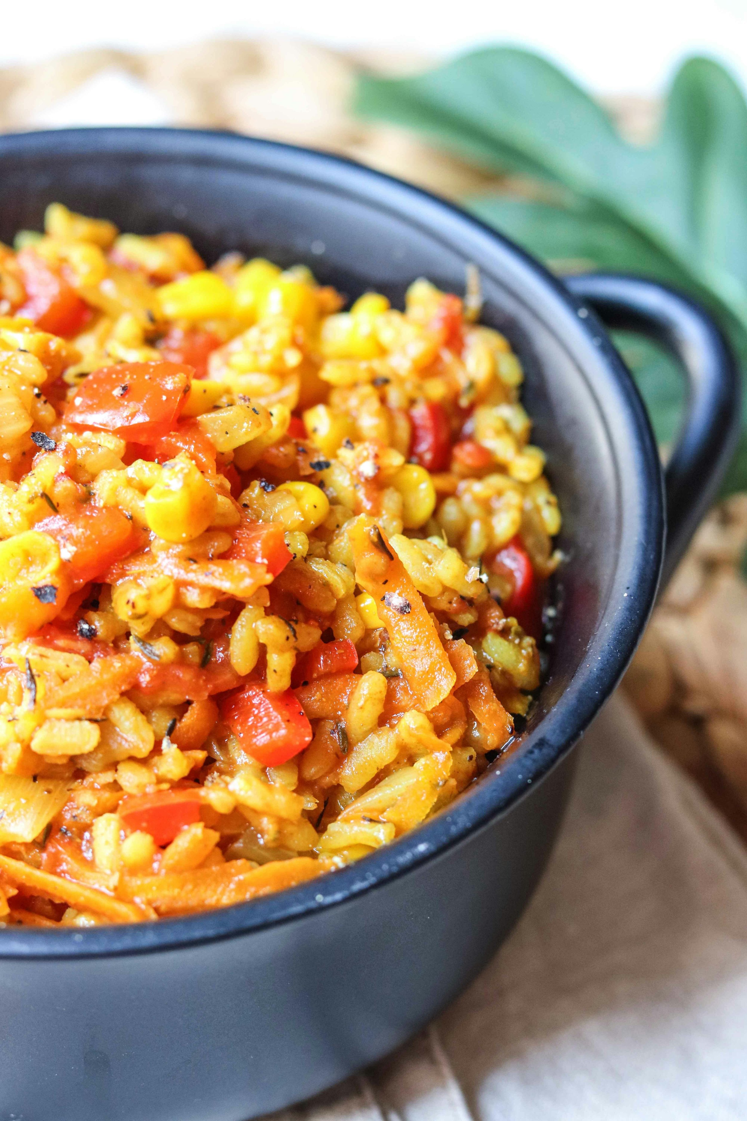 HIIIIT Vegetarian Recipe Pack