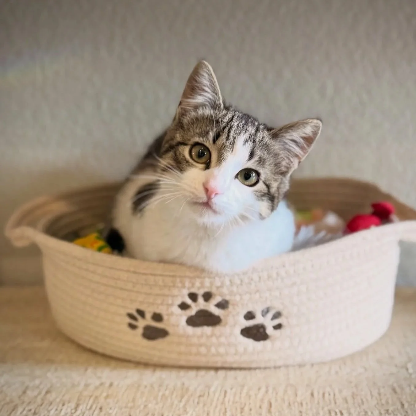 Gary: Adopted