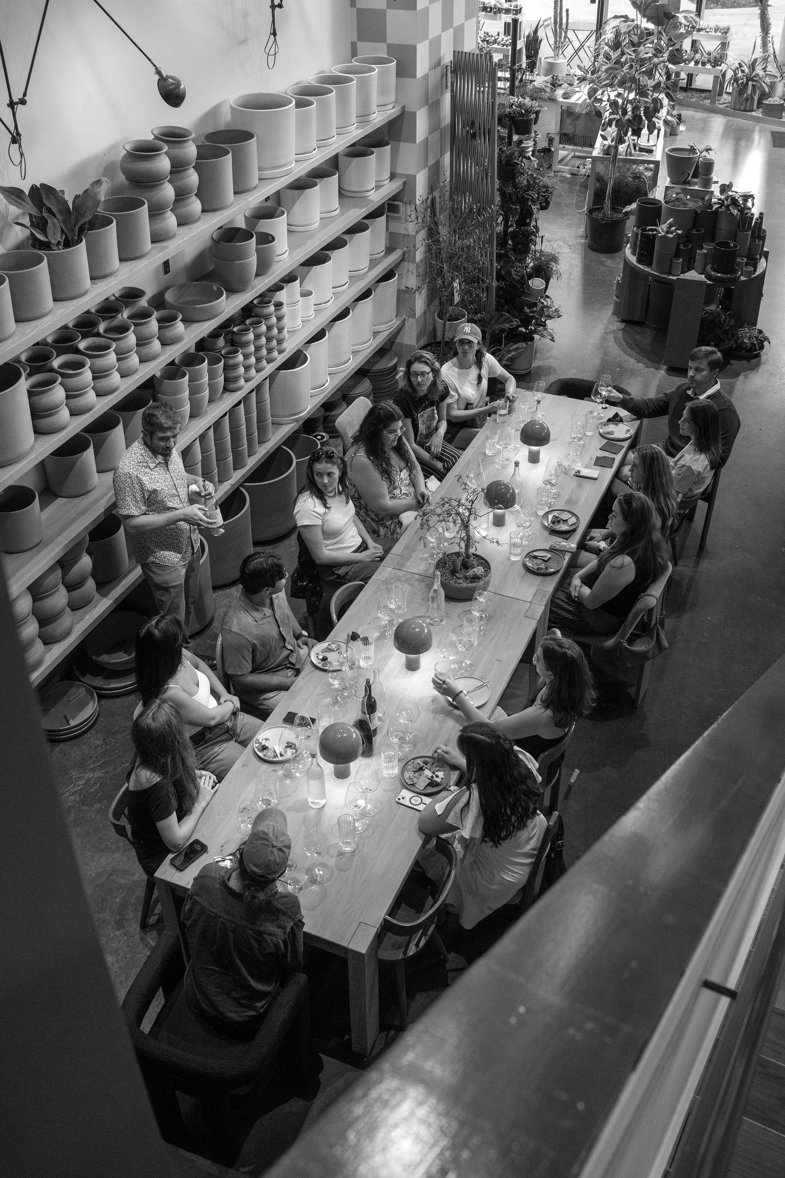 July Wine School | Champagne & Fried Chicken