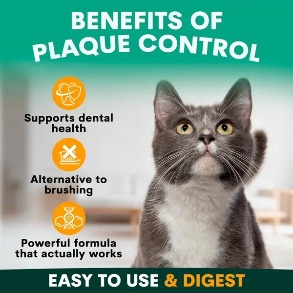 CatPQBenefits-min_600x.webp