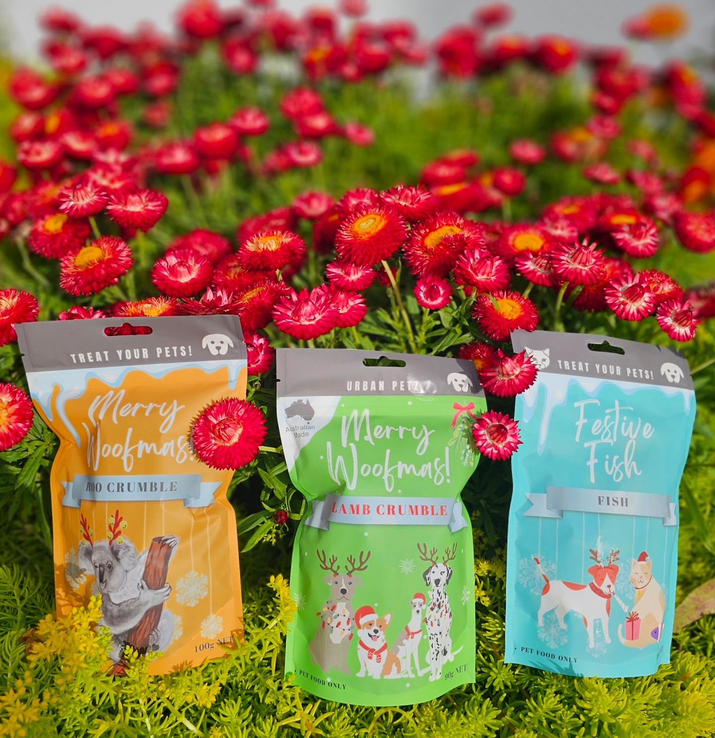 🎄🐾 Our Christmas Range has arrived just in time to make tails wag this festive season!

✨ Roo Crumble &ndash; light, airy, and full of flavor.
✨ Lamb Crumble &ndash; crunchy, digestible, and perfect for pups.
✨ Festive Fish &ndash; a treat packed w