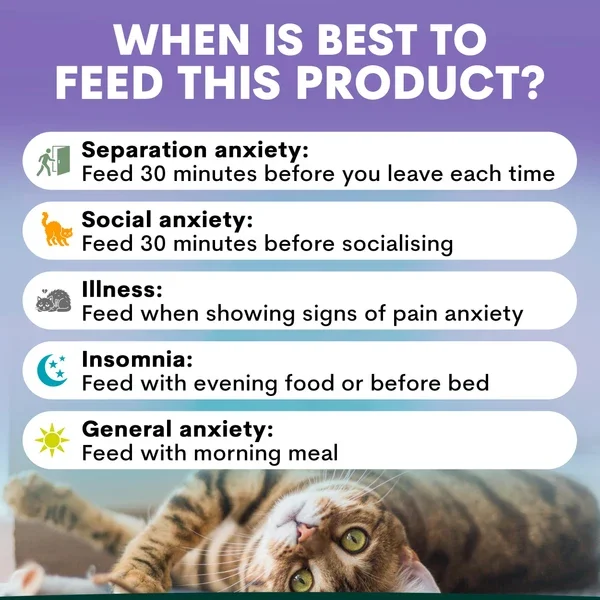 CSAWhentofeed_600x.webp