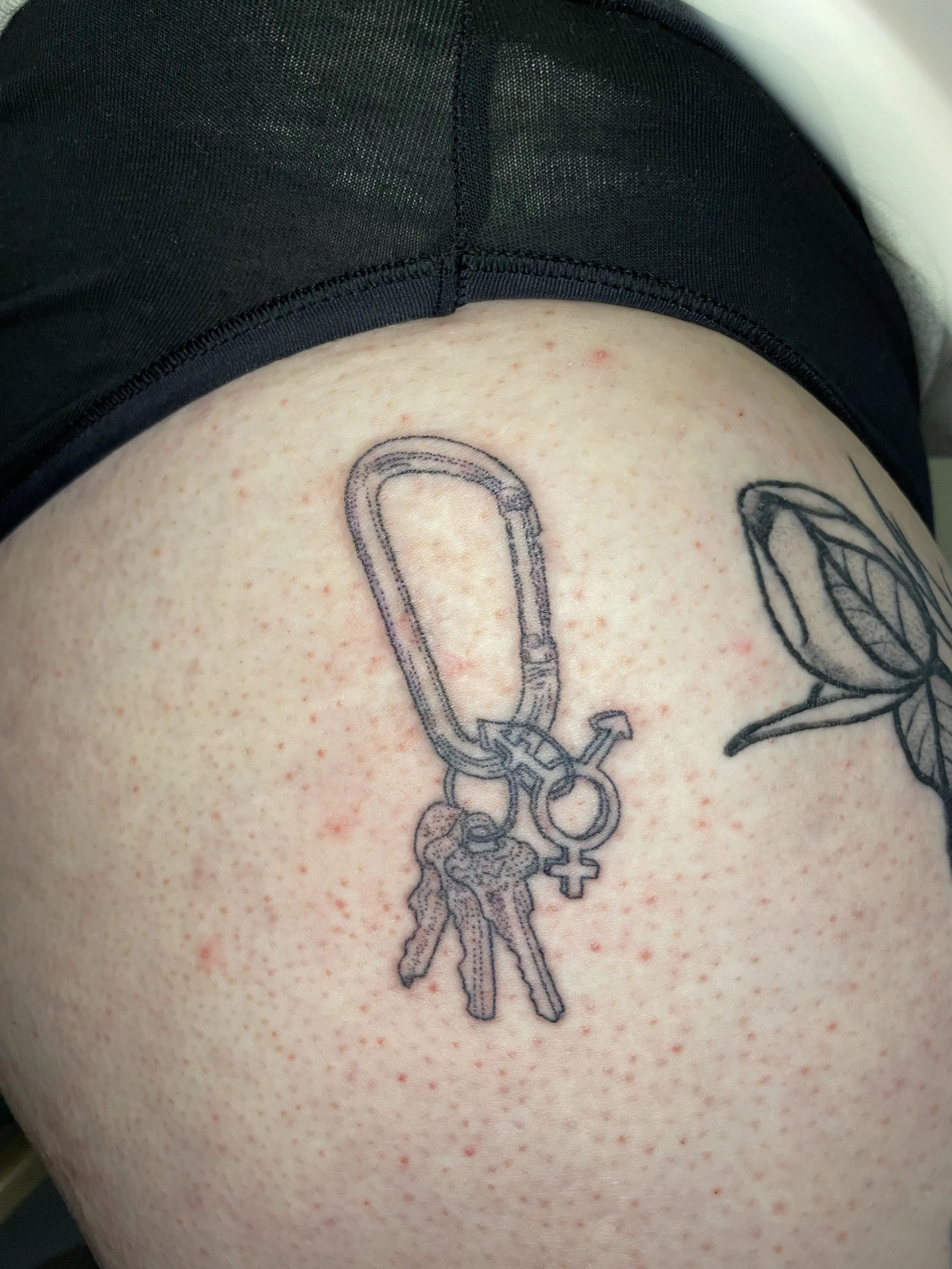 carabiner.jpg