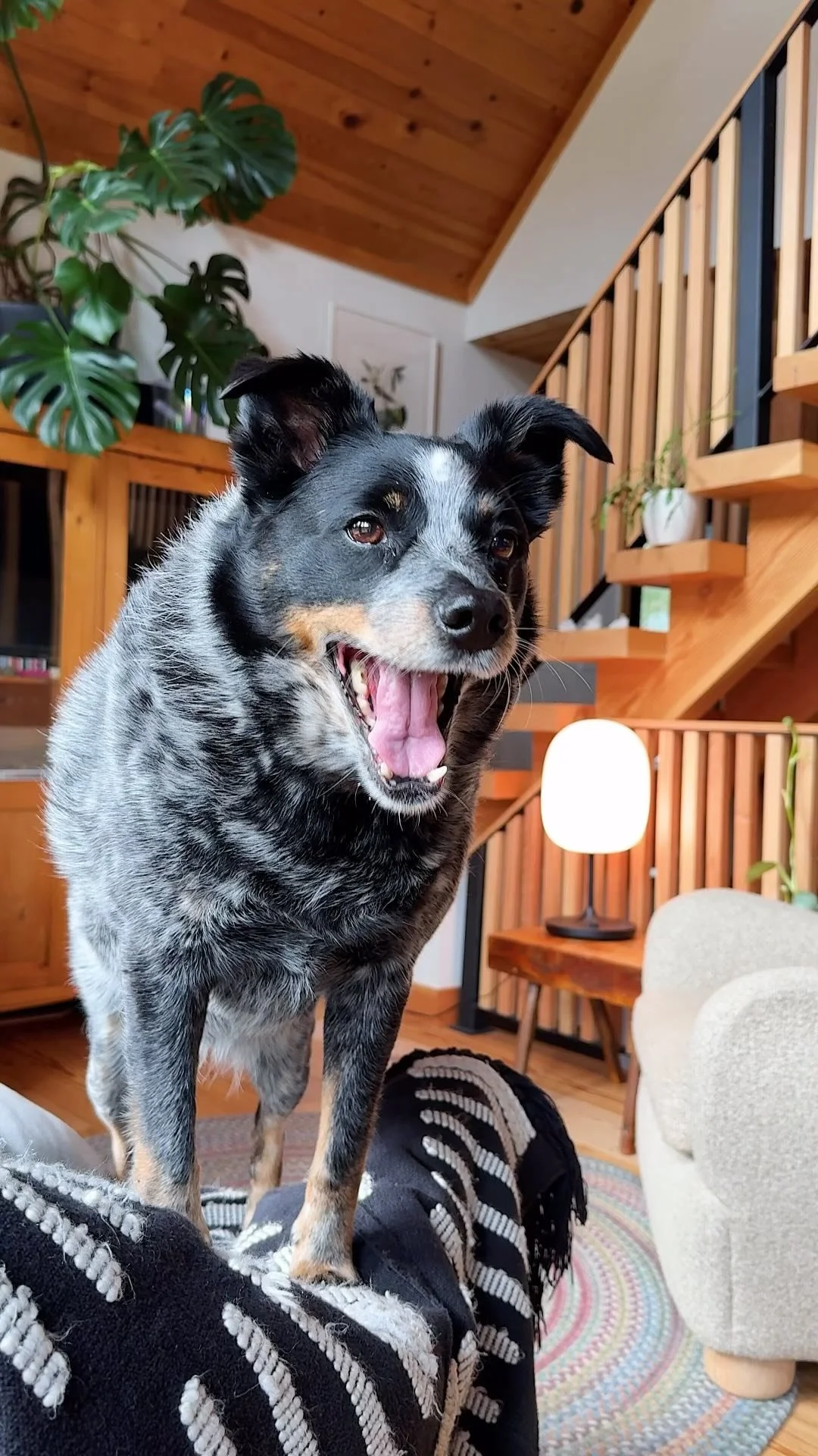 I've Decided To Leave HGTVs 'Save My Reno' — Sabrina Smelko