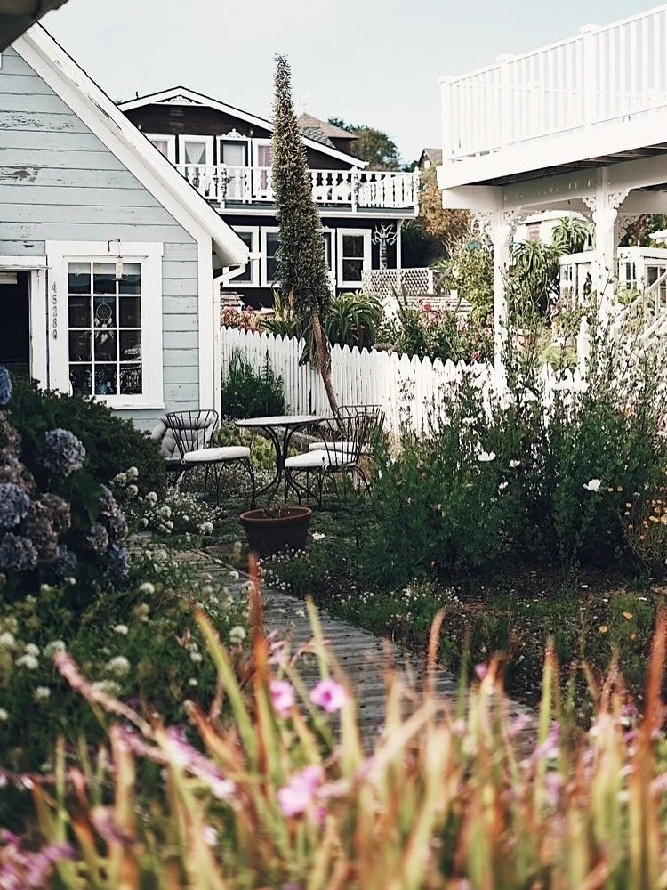 In September, we&rsquo;re driving to California and back, camping and staying at Airbnbs along the way&hellip; Looking forward to revisiting Mendocino! But first, planning and planning 🙃 

Shot with my #FujiXT1 in 2019