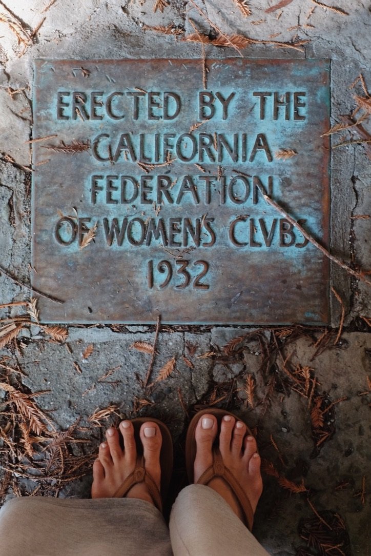 EC123F07-5CF7-4478-828D-8C9B2B1C74D0_1_105_c.jpeg