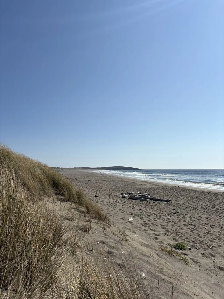 4C7D0DF5-A64A-4AE7-BE02-7A28755598FC_1_105_c.jpeg