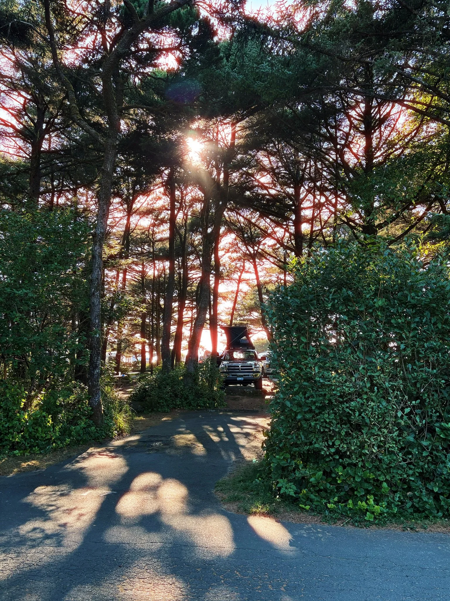 03239B67-F1FD-4C03-86B3-1E34961DFEE2_1_102_o.jpeg